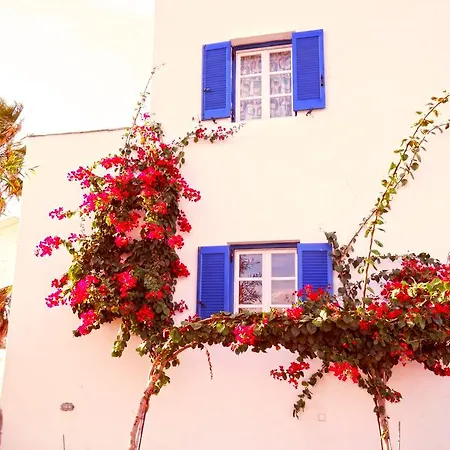 Aggelos Agios Prokopios (Naxos)
